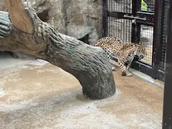 東武動物公園に投稿された画像（2026/4/22）