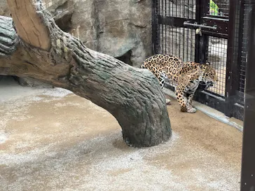 東武動物公園に投稿された画像（2026/4/22）