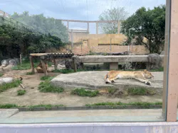 東武動物公園に投稿された画像（2026/4/22）