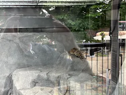 東武動物公園に投稿された画像（2026/4/22）