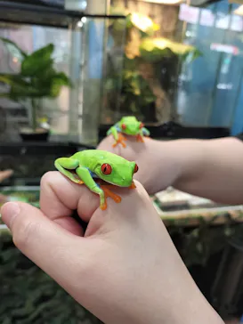 いきもの探検隊上尾に投稿された画像（2026/4/22）