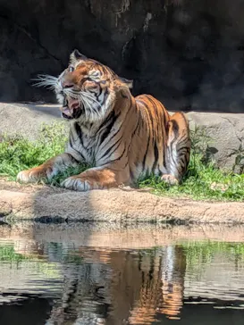 日立市かみね動物園に投稿された画像（2026/4/22）