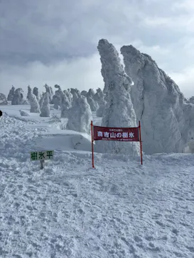 阿仁スキー場に投稿された画像（2026/4/23）