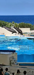 沖縄美ら海水族館に投稿された画像（2026/4/23）