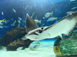 サンシャイン水族館に投稿された画像（2026/4/23）