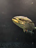 葛西臨海水族園に投稿された画像（2026/4/23）