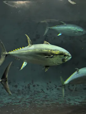 葛西臨海水族園に投稿された画像（2026/4/23）