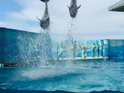 新江ノ島水族館に投稿された画像（2026/4/23）