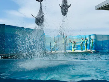 新江ノ島水族館に投稿された画像（2026/4/23）