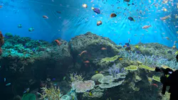 アクアワールド茨城県大洗水族館に投稿された画像（2026/4/23）