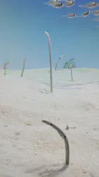 アクアワールド茨城県大洗水族館に投稿された画像（2026/4/23）