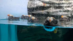 アクアワールド茨城県大洗水族館に投稿された画像（2026/4/23）