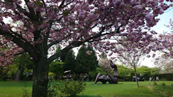 彫刻の森美術館に投稿された画像（2026/4/23）