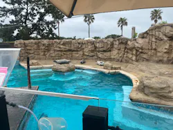 マリンワールド海の中道に投稿された画像（2026/4/23）