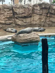マリンワールド海の中道に投稿された画像（2026/4/23）