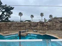 マリンワールド海の中道に投稿された画像（2026/4/23）