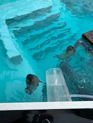 マリンワールド海の中道に投稿された画像（2026/4/23）