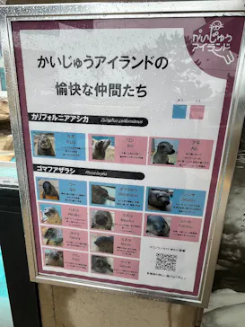 マリンワールド海の中道に投稿された画像（2026/4/23）