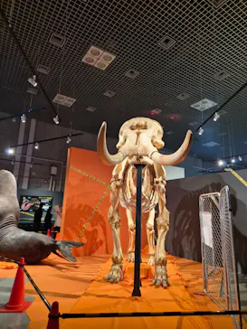 特別展「超危険生物展　科学で挑む生き物の本気」に投稿された画像（2026/4/23）