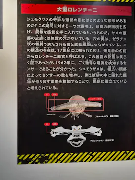 特別展「超危険生物展　科学で挑む生き物の本気」に投稿された画像（2026/4/23）
