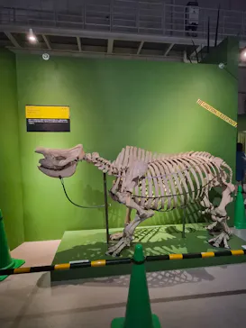特別展「超危険生物展　科学で挑む生き物の本気」に投稿された画像（2026/4/23）