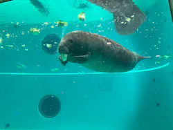 沖縄美ら海水族館に投稿された画像（2026/4/23）