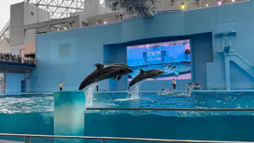 横浜・八景島シーパラダイスに投稿された画像（2026/4/23）