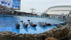 名古屋港水族館に投稿された画像（2026/4/23）