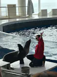 アクアワールド茨城県大洗水族館に投稿された画像（2026/4/23）
