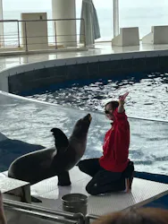 アクアワールド茨城県大洗水族館に投稿された画像（2026/4/23）