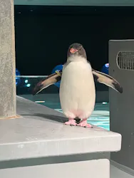 AOAO SAPPOROに投稿された画像（2026/4/23）