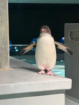 AOAO SAPPOROに投稿された画像（2026/4/23）