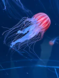 AOAO SAPPOROに投稿された画像（2026/4/23）