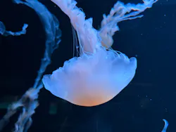 AOAO SAPPOROに投稿された画像（2026/4/23）