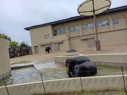 天王寺動物園に投稿された画像（2026/4/23）