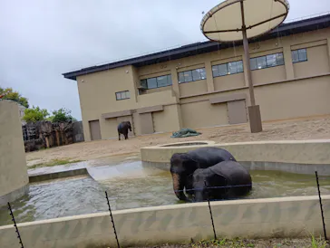 天王寺動物園に投稿された画像（2026/4/23）
