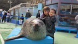 ゼロ距離水族館 伊勢シーパラダイスに投稿された画像（2026/4/24）