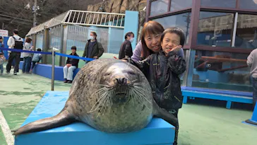 ゼロ距離水族館 伊勢シーパラダイスに投稿された画像（2026/4/23）