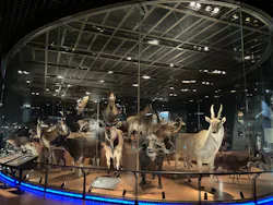 国立科学博物館に投稿された画像（2026/4/23）