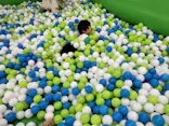 東京あそびマーレに投稿された画像（2026/4/24）