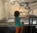 国立科学博物館に投稿された画像（2026/4/24）