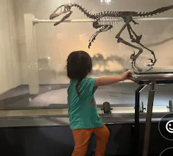 国立科学博物館に投稿された画像（2026/4/23）