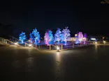 THE BOTANICAL RESORT 林音 おふろcafé りんねの湯に投稿された画像（2026/4/24）