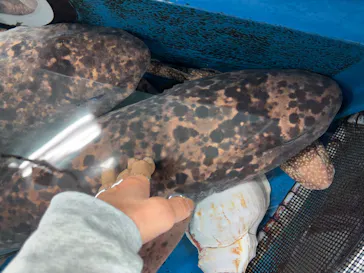 竹島水族館に投稿された画像（2026/4/24）