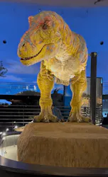 福井県立恐竜博物館に投稿された画像（2026/4/24）