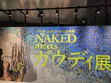 NAKED meets ガウディ展【大阪】に投稿された画像（2026/4/24）