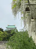 名古屋城に投稿された画像（2026/4/24）