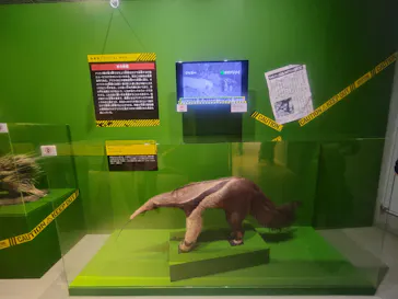特別展「超危険生物展　科学で挑む生き物の本気」に投稿された画像（2026/4/24）