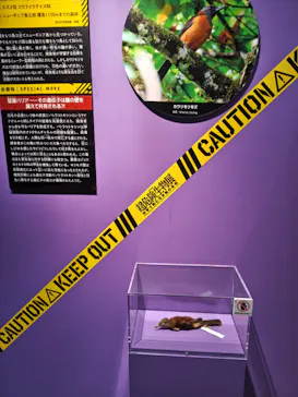 特別展「超危険生物展　科学で挑む生き物の本気」に投稿された画像（2026/4/24）