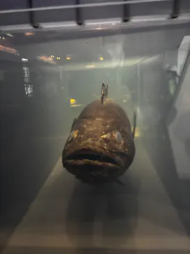 葛西臨海水族園に投稿された画像（2026/4/24）